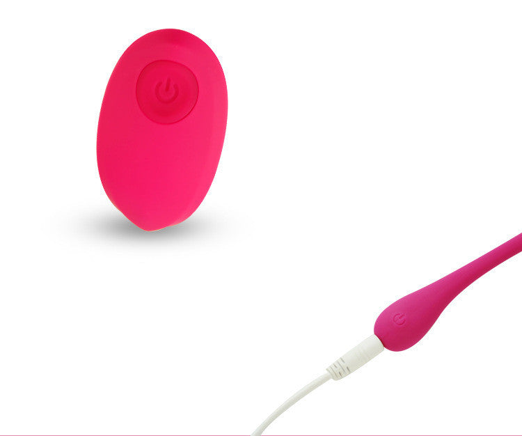 Remote Control Vibrating Egg Massager