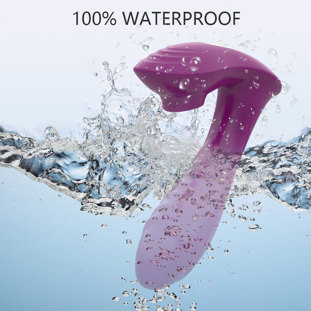 Wireless Remote Control Dual Vibrator