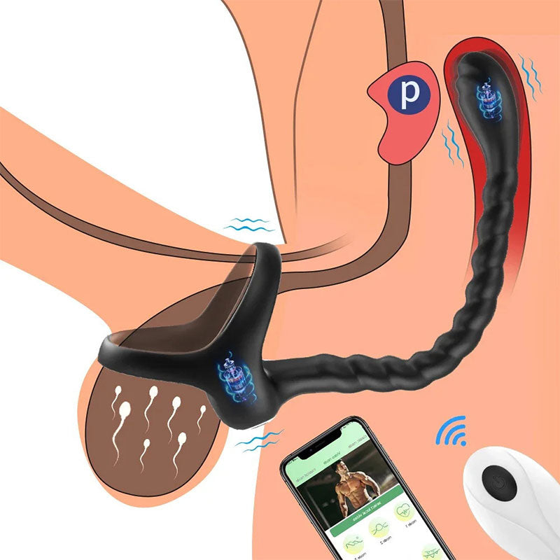 WONDEBLISS 3-in-1 prostate massager APP control interface