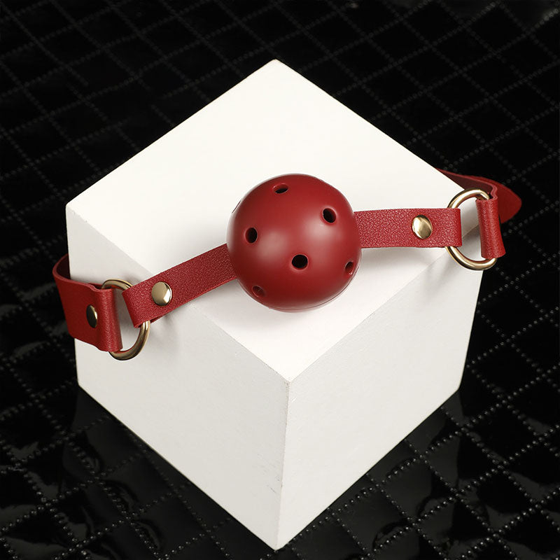 Wondebliss adjustable mouth gag with faux leather strap from 7-piece bondage set
