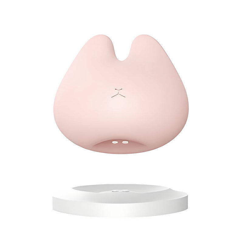 WONDEBLISS Kitty clitoral clamp vibrator magnetic charging cable detail